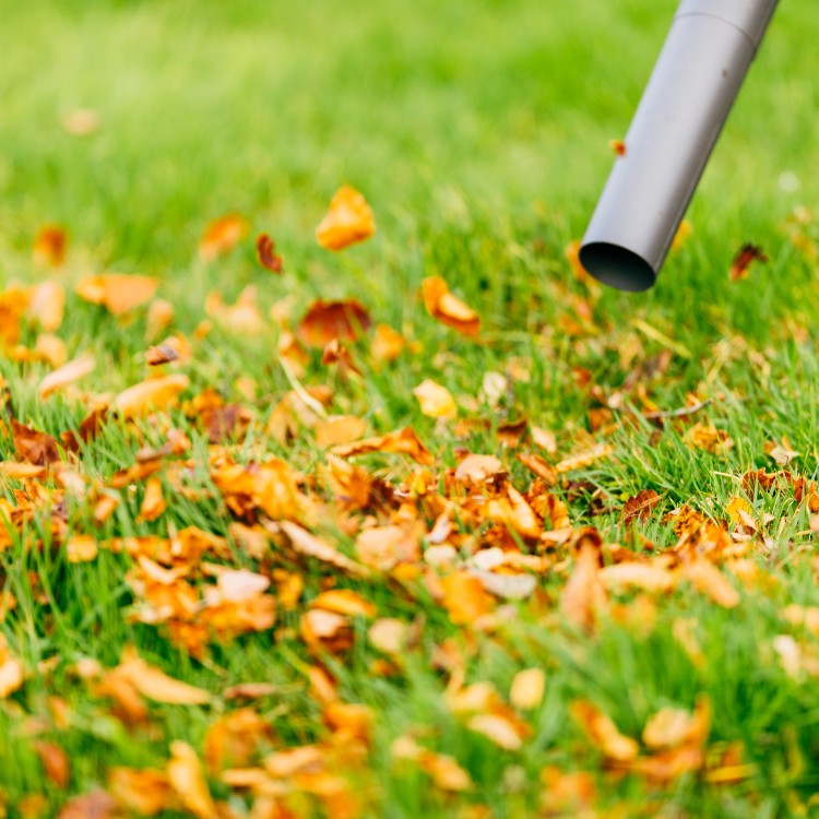 Small engine services in Bowie, MD