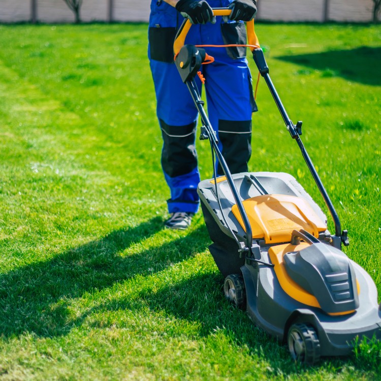 Small engine services in Bowie, MD